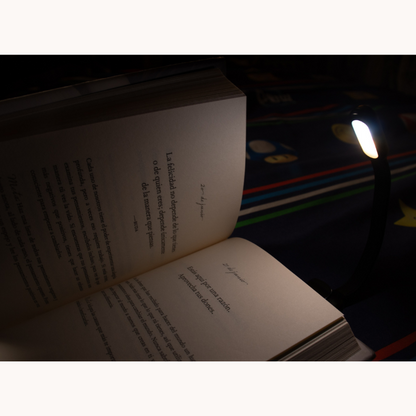 Mini LED Book Light