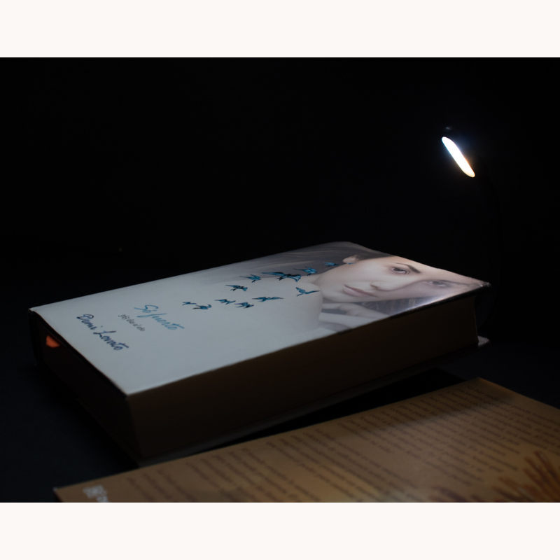 Mini LED Book Light